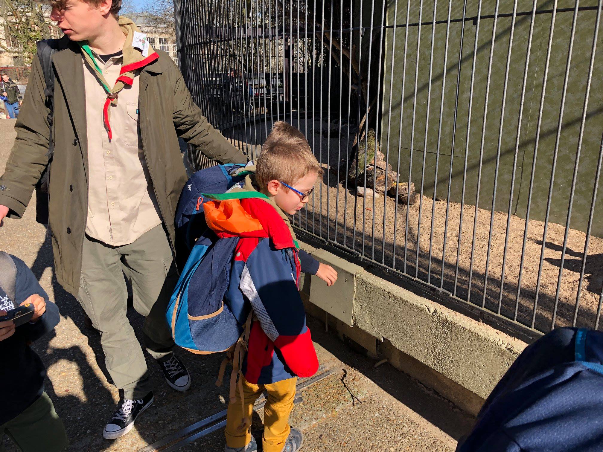 Sint-Martinus den XIIde - Zoo Antwerpen Kapoenen